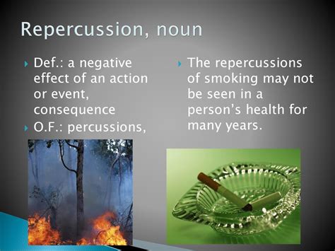 repercussion noun .